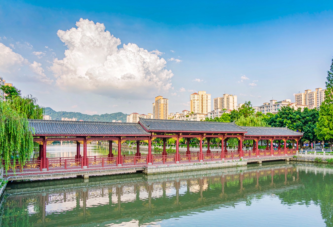 Chengdu Yaan Tea Mountain Wellness Journey — 4 Days / 3 Nights — Pandas, Tea Hills and an Old Town
