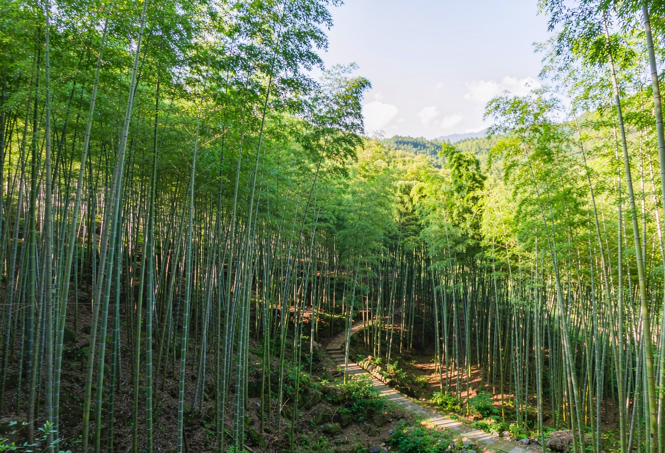 Wuhan Xianning Hot Spring Wellness Journey — 4 Days / 3 Nights — Three Kingdoms and Hot Springs