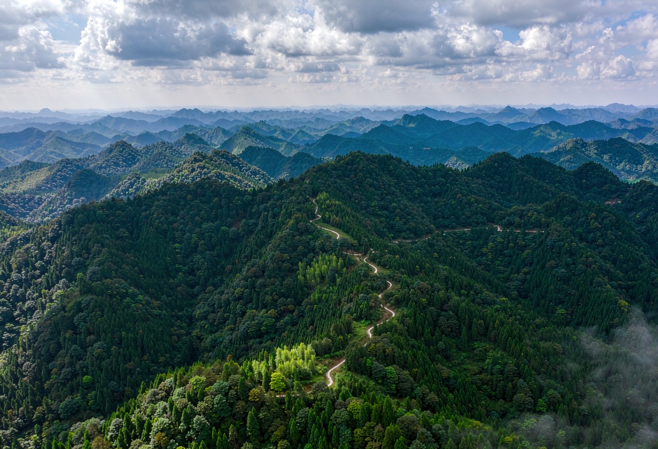 Wuhan Yichang and Shennongjia Wellness Journey — 6 Days / 5 Nights — Three Gorges Dam, Shennong Peak and Dajiuhu