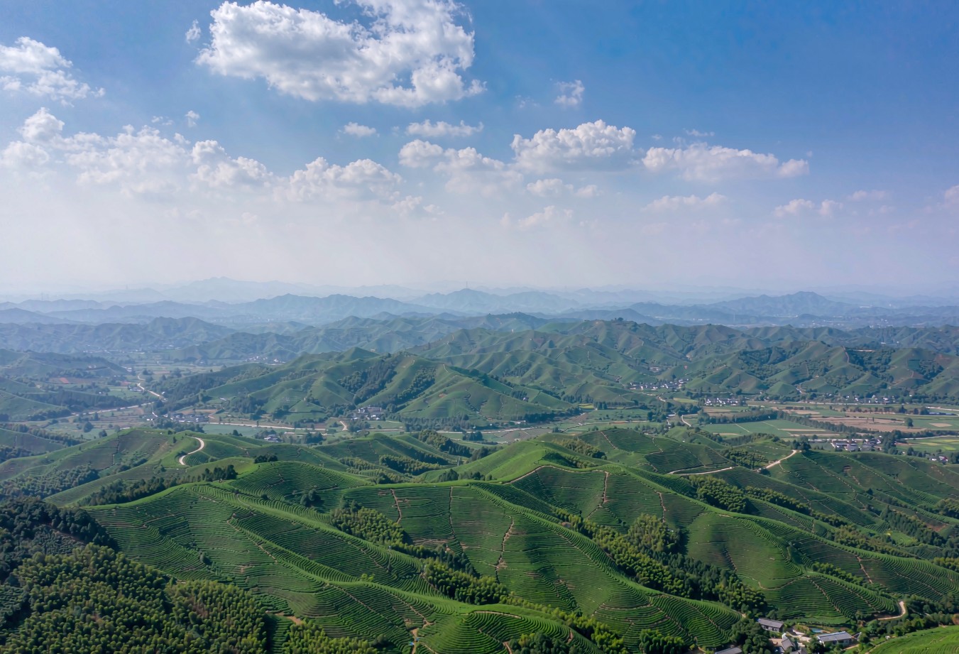 Chongqing West Loop Wellness Journey — 6 Days / 5 Nights — Simian Mountain, Tea-Bamboo Sea and Rongchang Pottery, No Leg Over Two Hours