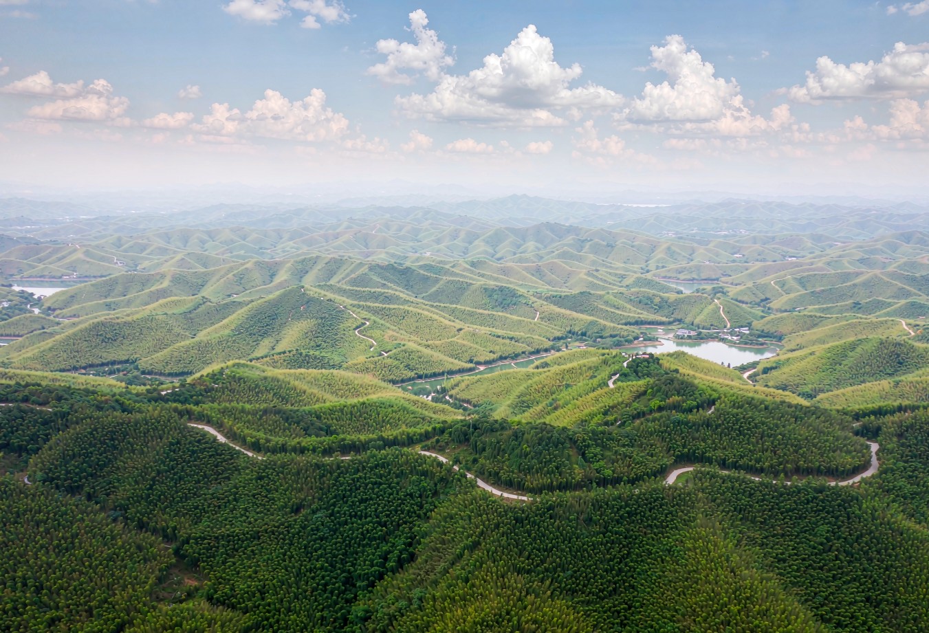 Chengdu Bamboo Sea and Xingwen Stone Sea Wellness Journey — 6 Days / 5 Nights — Southern Sichuan Bamboo Sea and Xingwen Stone Sea